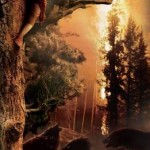 El Hobbit nuevo póster.