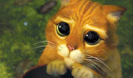 Especial Gatitos en el cine