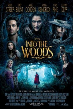Póster de Into the Woods