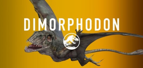 jurassic-world-dimorphodon-share-e1425241491177