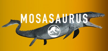 jurassic-world-mosasaurus-share_n752.1200