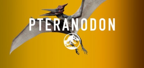 jurassic-world-pteranodon-share-e1425241540588