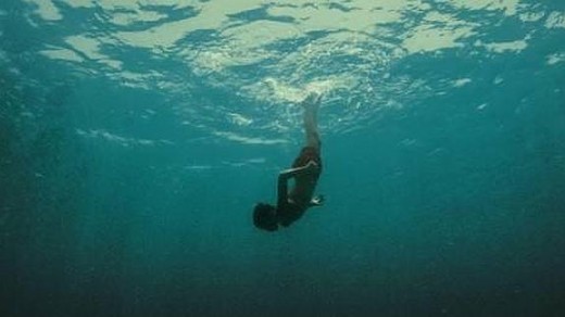 Evolution_Lucile_Hadzihalilovic