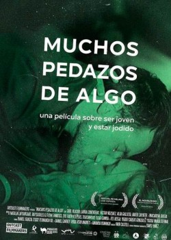 Póster de Muchos pedazos de algo