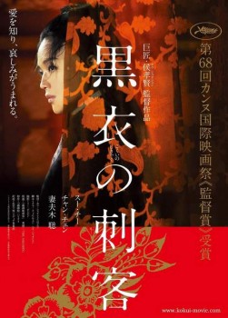 Póster de The Assassin