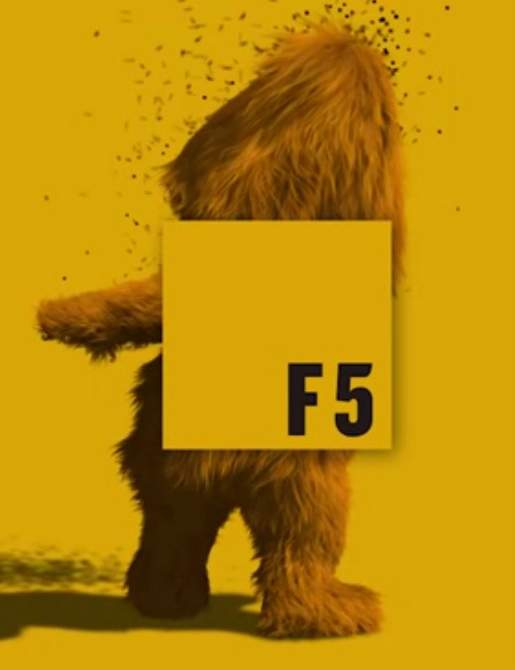 Nueva Web FCINCO