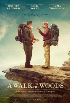 Póster de Un paseo por el bosque