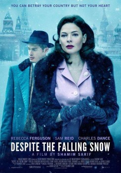 Póster de Cuando cae la nieve