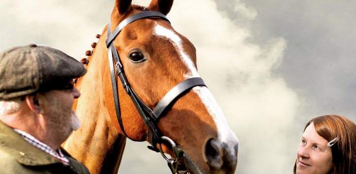 dark_horse_the_incredible_true_story_of_dream_alliance-642988315-large