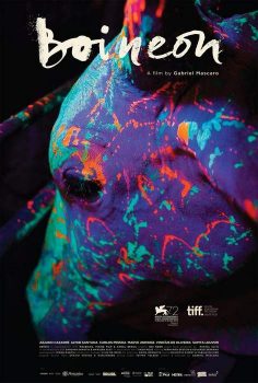 Póster de Boi neon