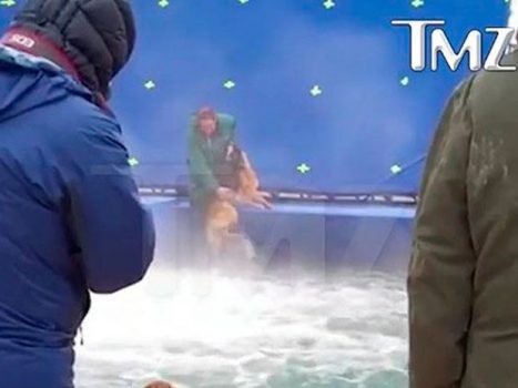 Rodaje de "A dog's purpose"