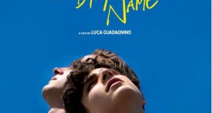 Crítica de Call me by your name